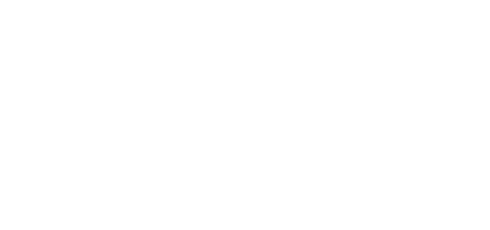 ApplePay